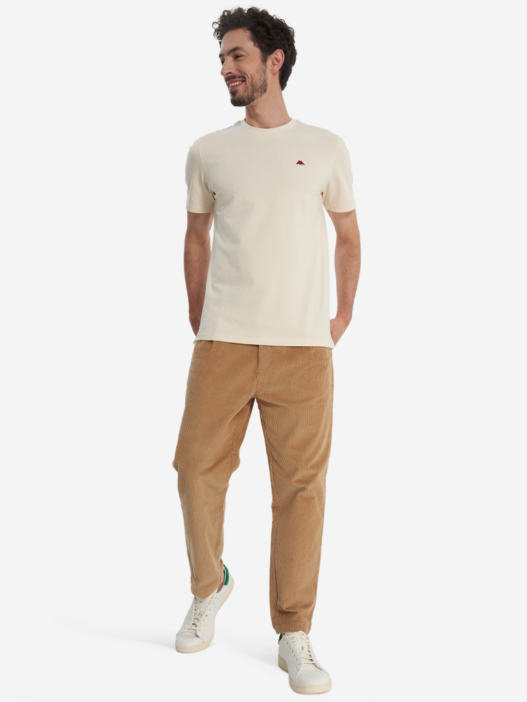 Брюки мужские Robe di Kappa