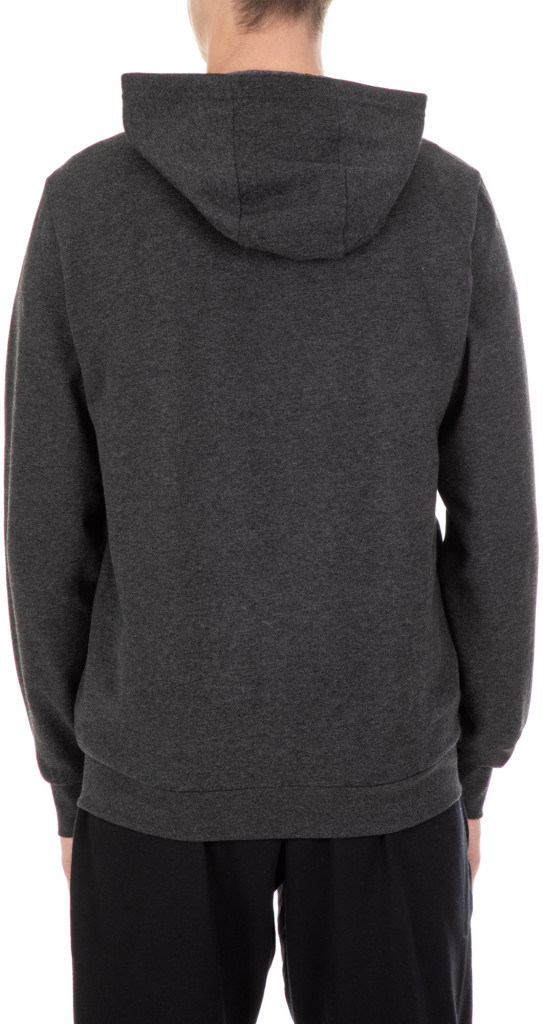 Толстовка мужская Demix