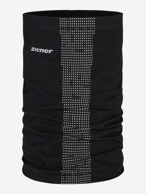 Гейтор Ziener
