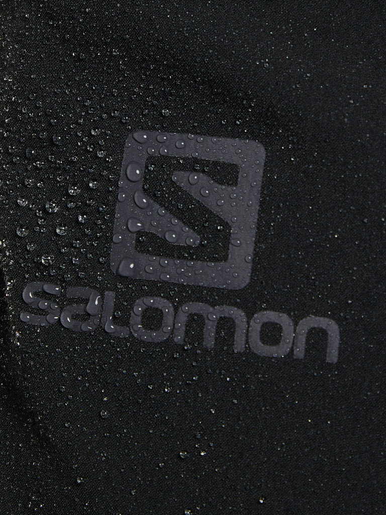 Брюки мужские Salomon Wayfarer