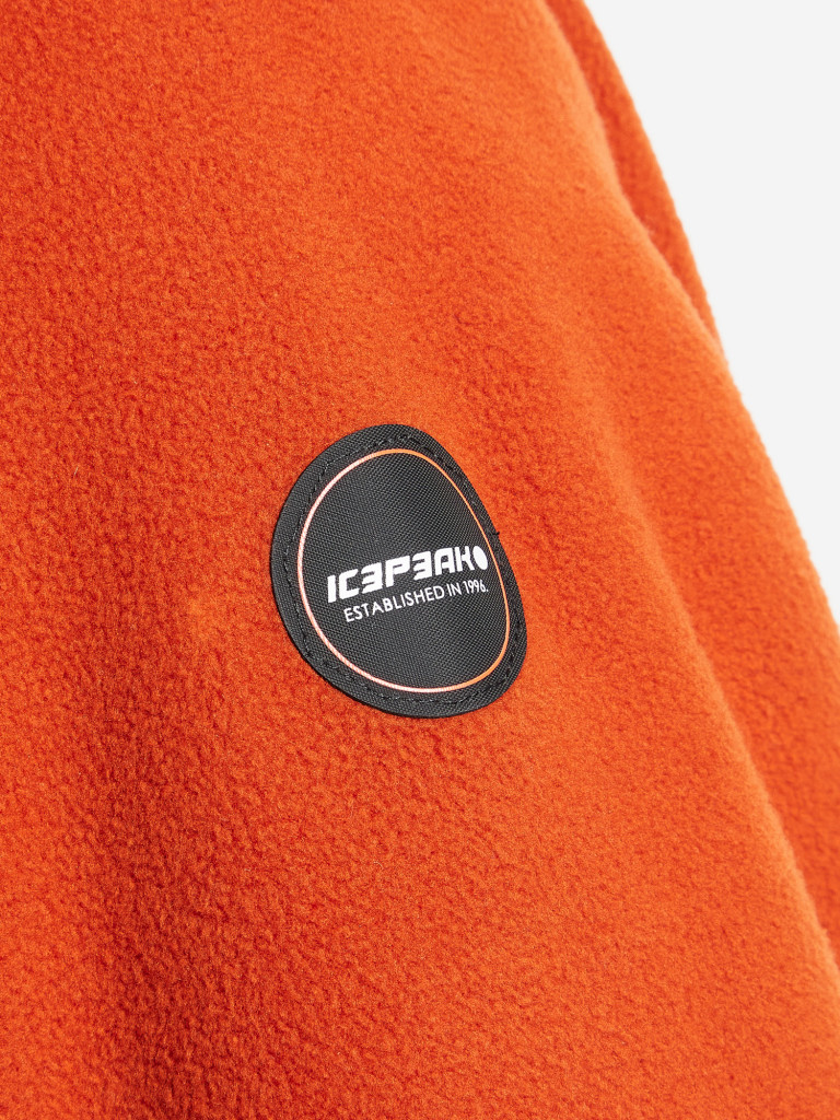 Джемпер флисовый мужской IcePeak Vilas