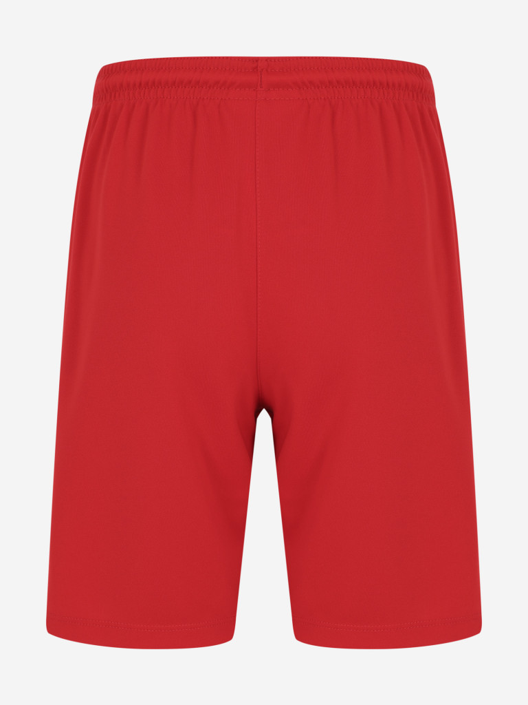 Шорты для мальчиков Nike Kids Short Park III