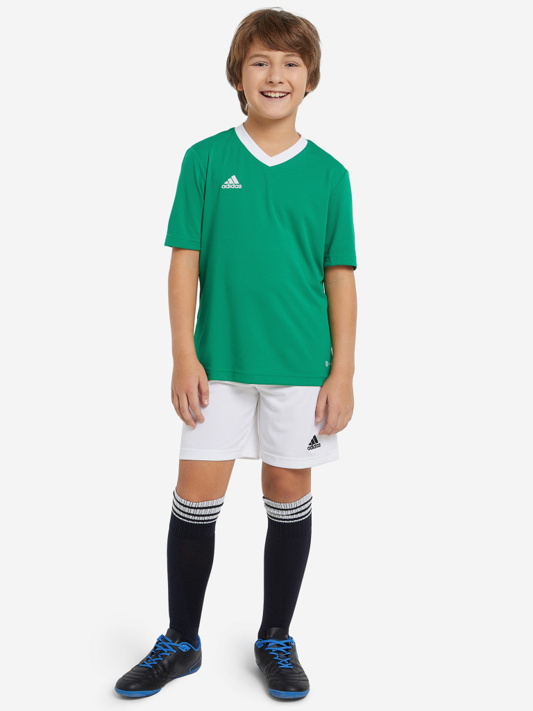 Футболка для мальчиков adidas Entrada 22