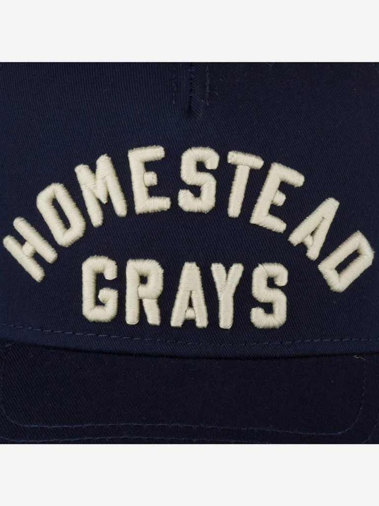 Бейсболка AMERICAN NEEDLE 22016A-HOG Homestead Grays Valin NL