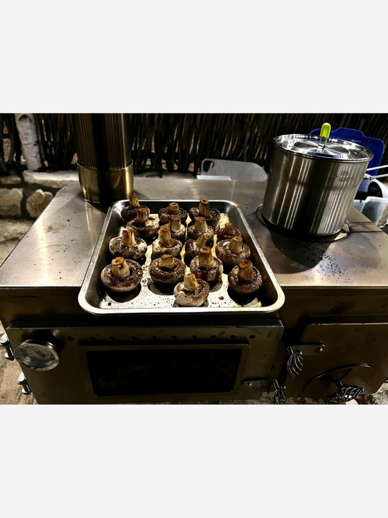 Походная печь Winnerwell Woodlander Pizza Stove Large, нерж. ст. AISI 304