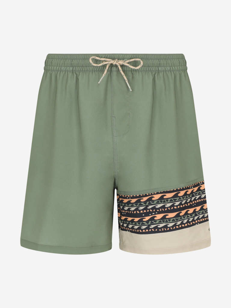 Шорты плавательные мужские Billabong Burleigh