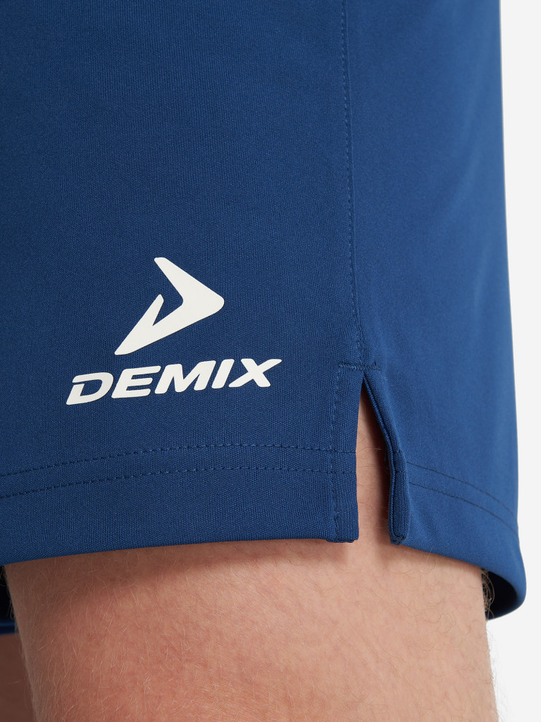 Шорты мужские Demix Legacy