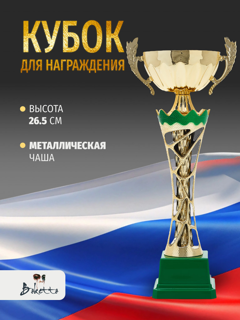 Спортивный кубок для награждения победителя 26.5 см
