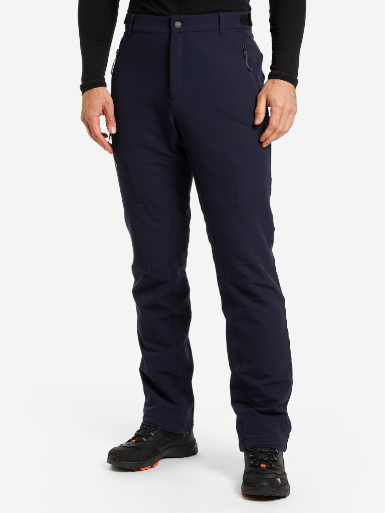 Брюки утепленные мужские IcePeak Vreden