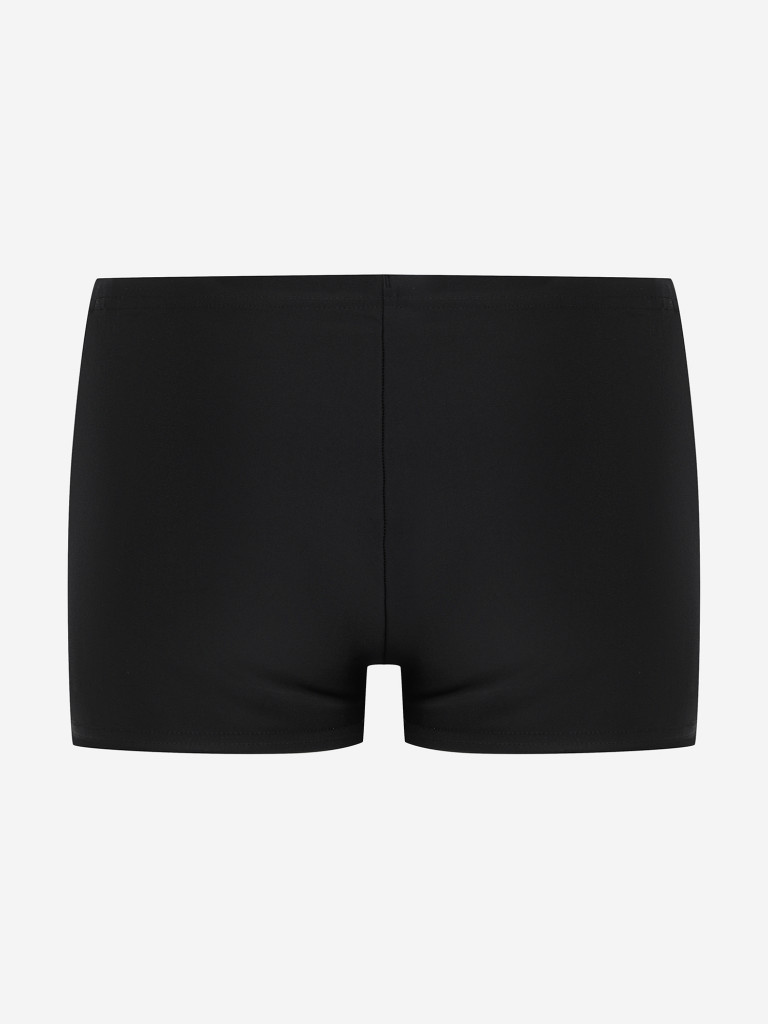 Плавки-шорты для мальчиков Speedo Dive