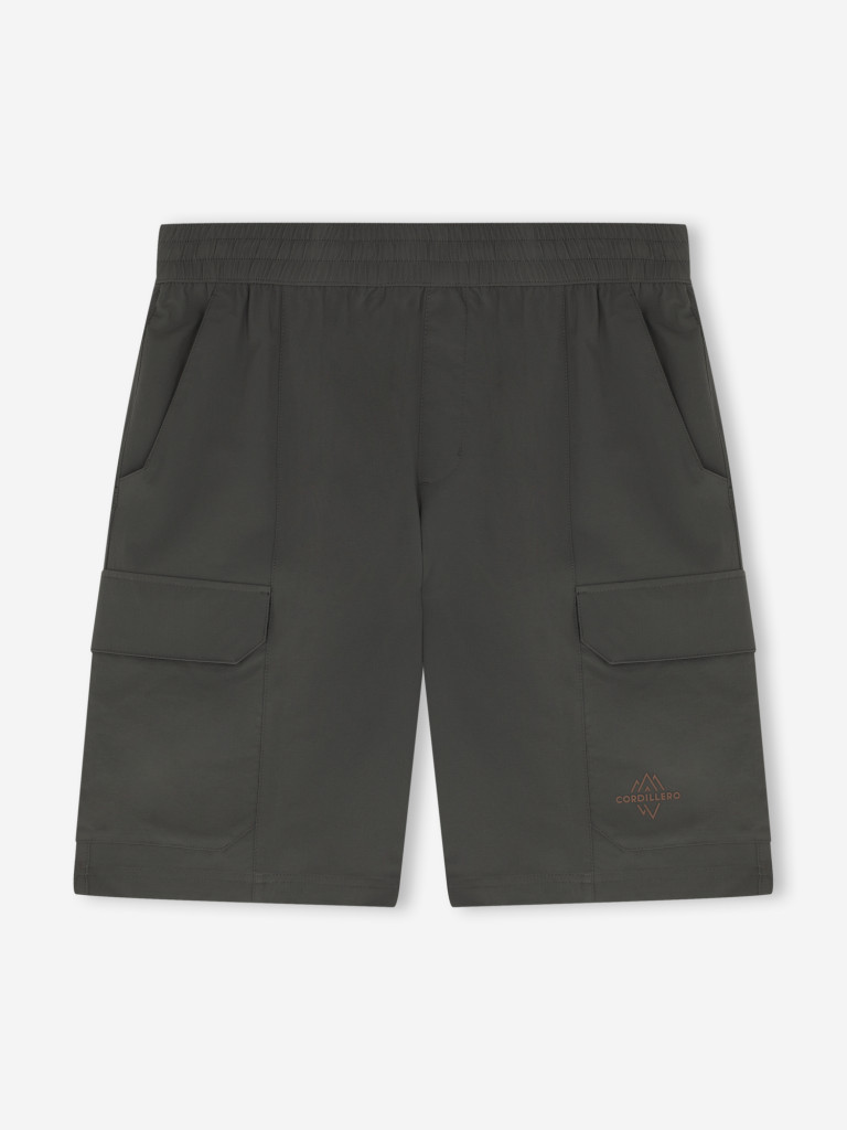 Шорты мужские Cordillero
