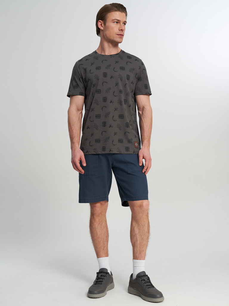 Футболка мужская Cordillero