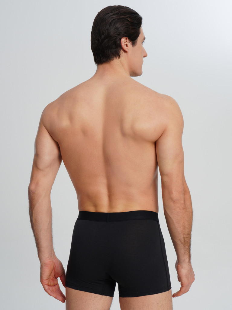 Трусы мужские Demix, 3 штуки