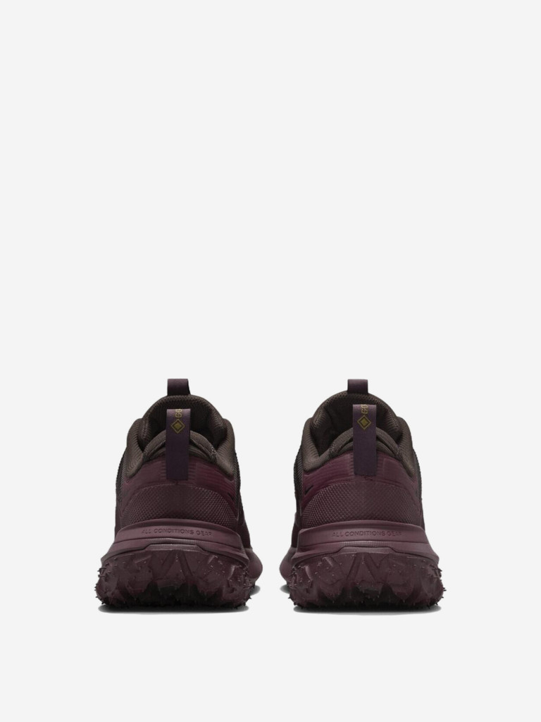 Кроссовки Nike ACG Mountain Fly 2 Low GORE-TEX