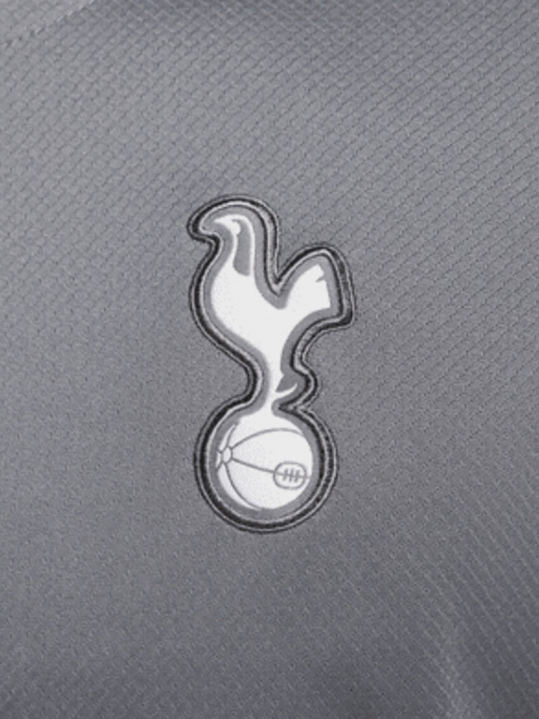 Футболка спортивная мужская Nike Dri Fit Tottenham Hotspur Strike