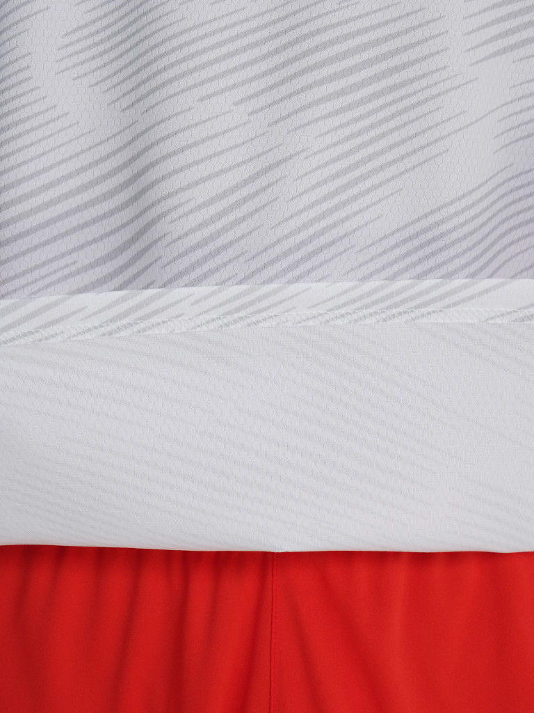 Футболка мужская Demix Winger