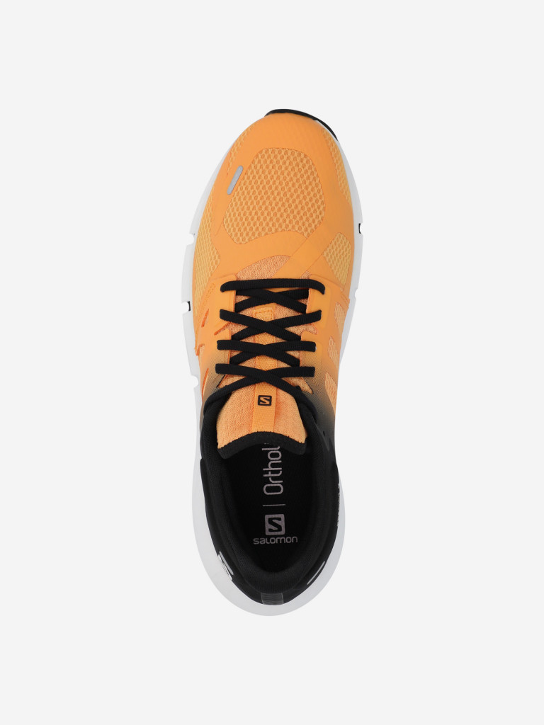 Кроссовки мужские Salomon Predict2
