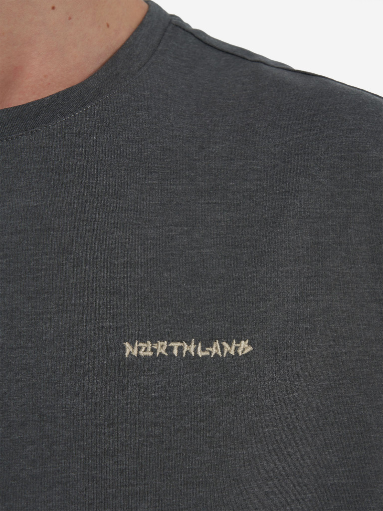 Футболка мужская Northland