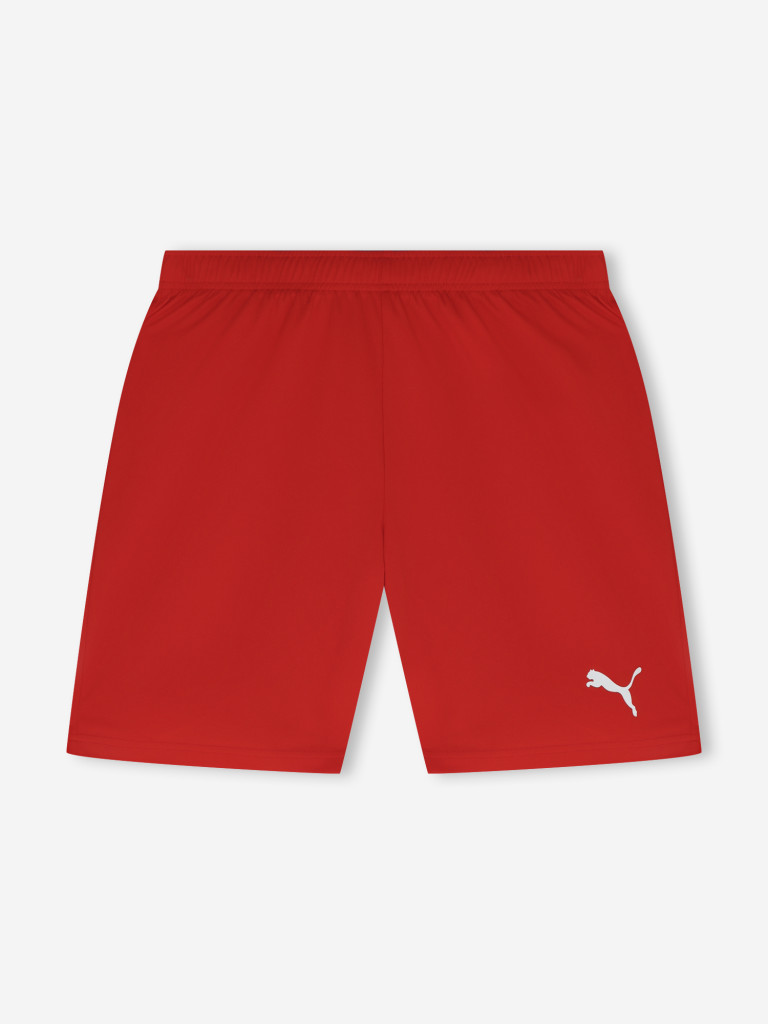 Шорты мужские PUMA Teamrise