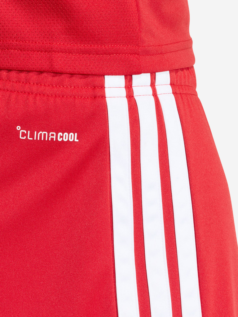 Шорты мужские adidas