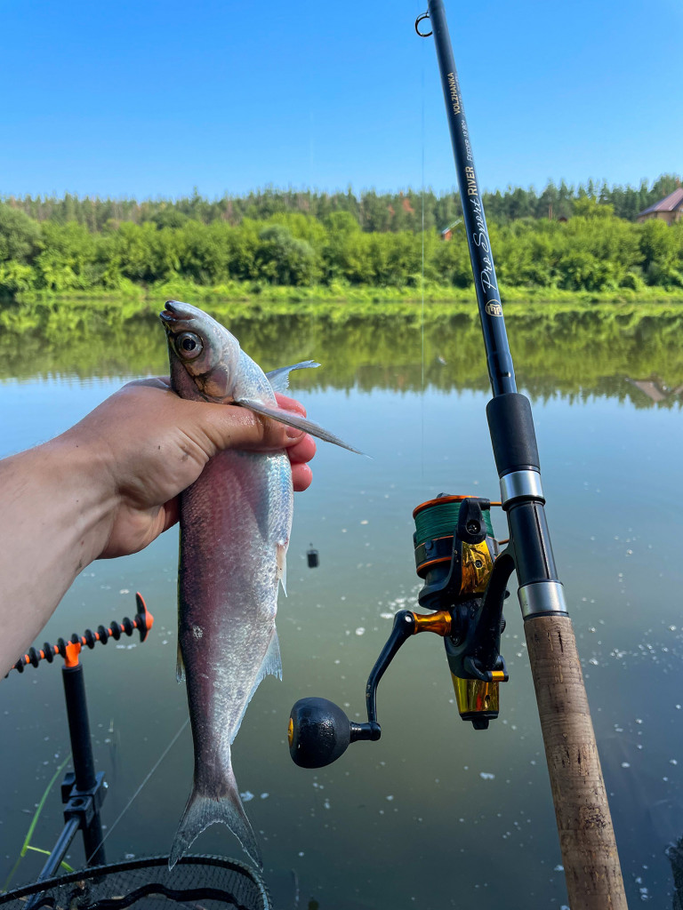 Катушка карповая с байтраннером Волжанка Карп Мастер 3000