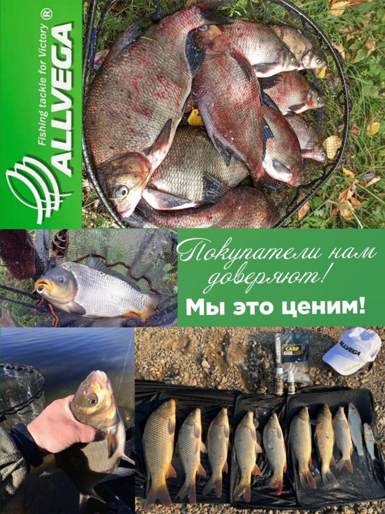 Прикормка для рыбалки ALLVEGA Formula красный лещ 10 пачек
