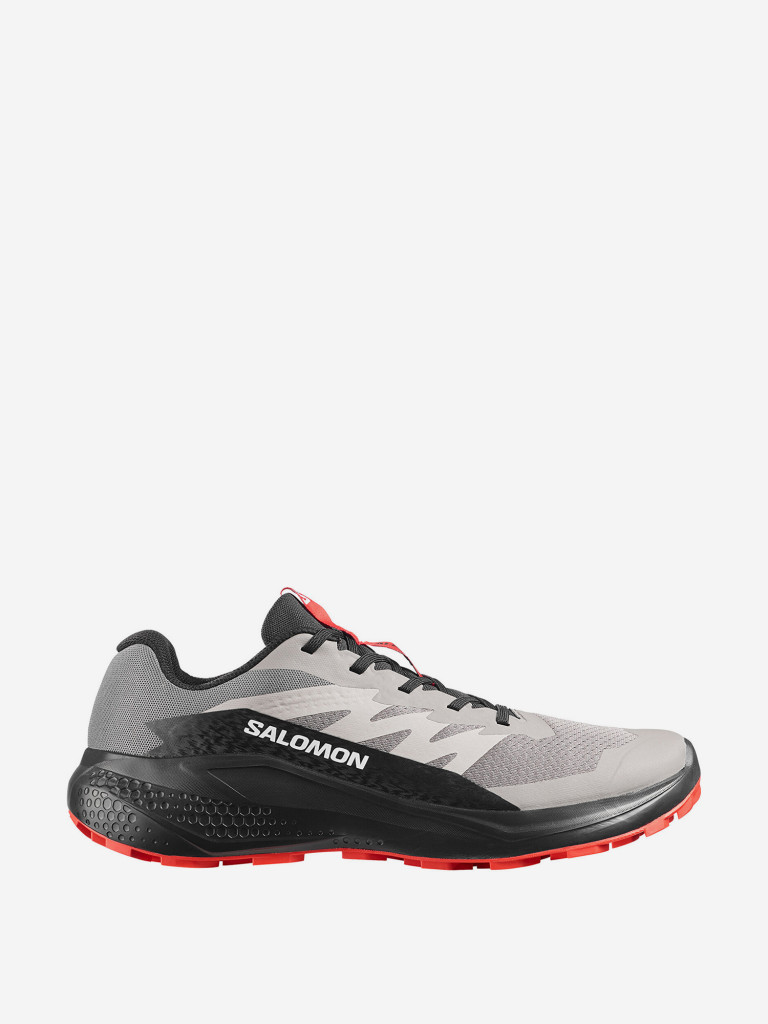 Кроссовки мужские Salomon Alphaglide