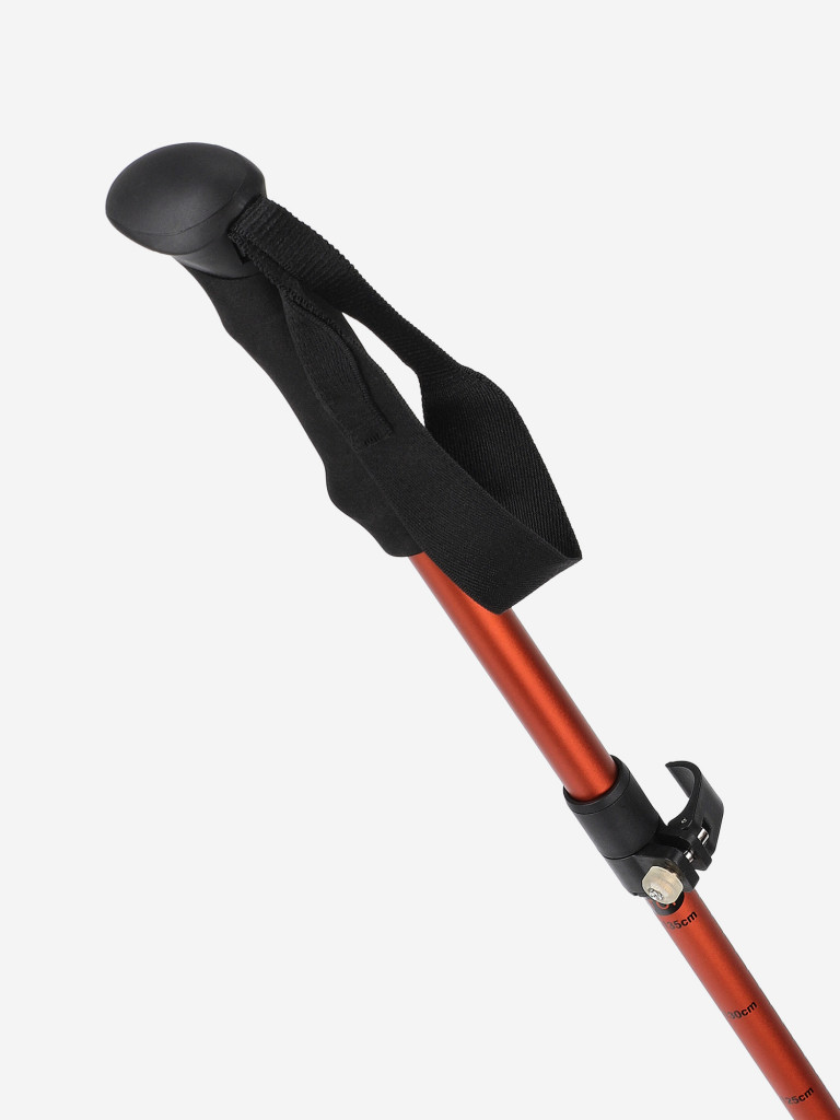 Палки треккинговые Denton