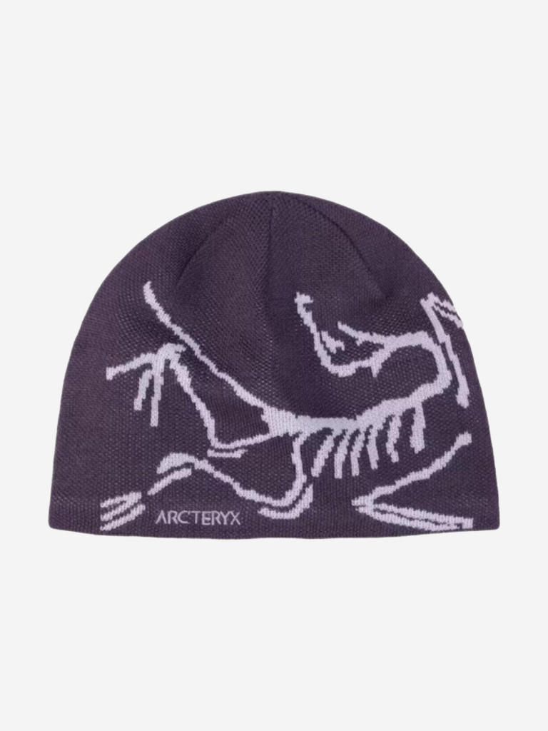 Шапка Arc'teryx Bird Head Toque