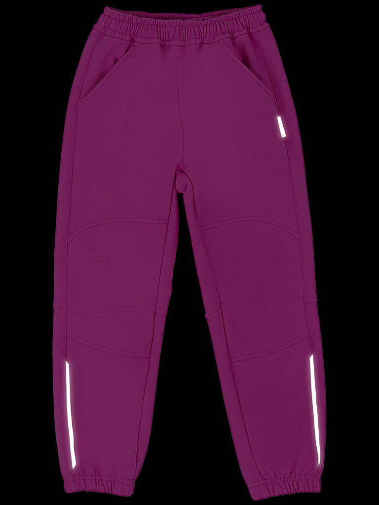 Брюки Софтшелл детские NIKASTYLE