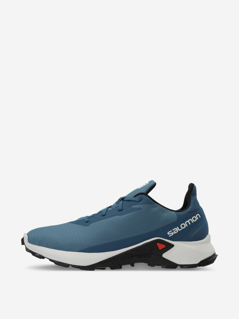 Кроссовки мужские Salomon Alphacross 3