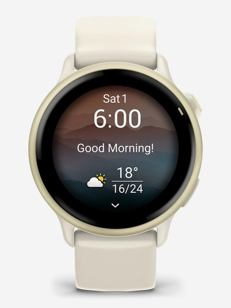Спортивные часы GARMIN Vivoactive 6