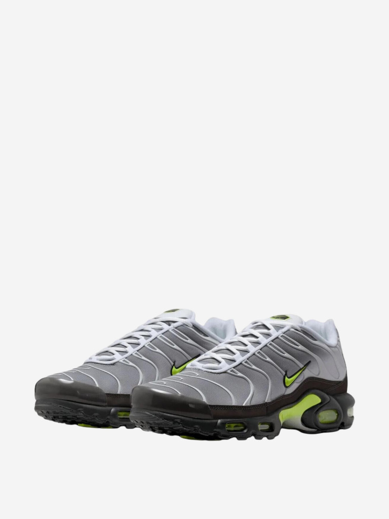 Кроссовки мужские Nike Air Max Plus