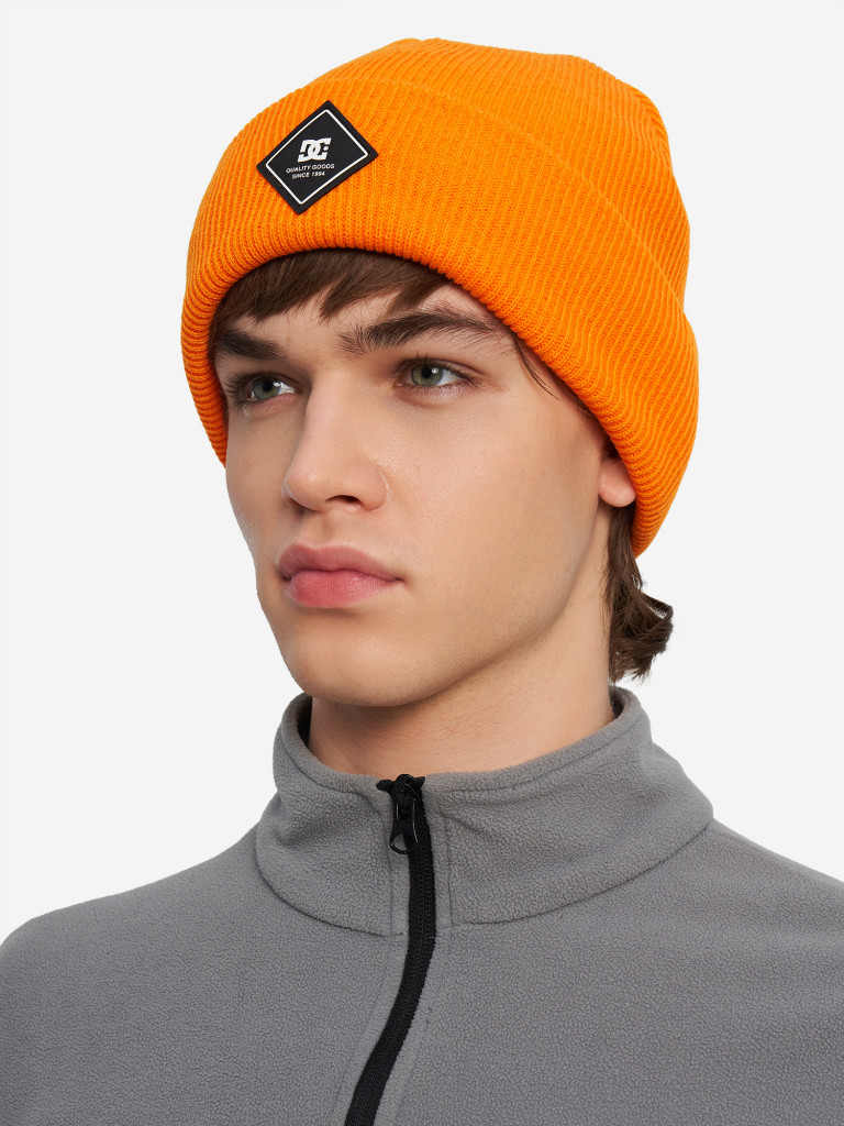 Шапка DC Shoes Label