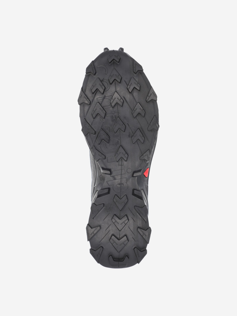 Кроссовки мужские Salomon Alphacross 5 Gtx