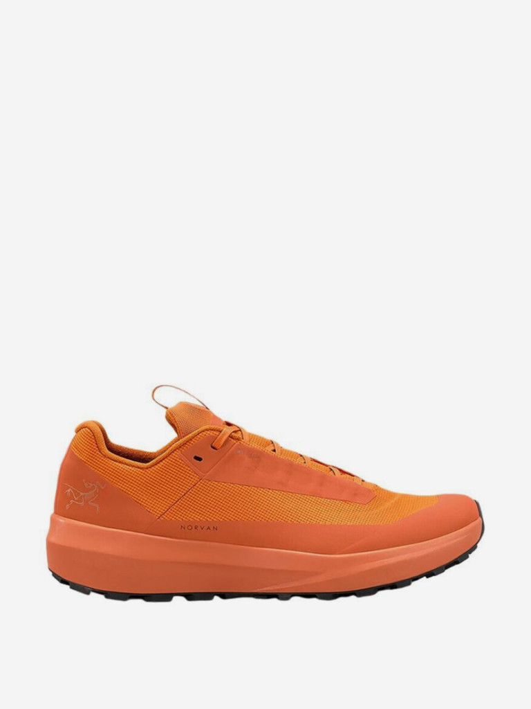 Кроссовки мужские Arc'teryx Norvan LD 4