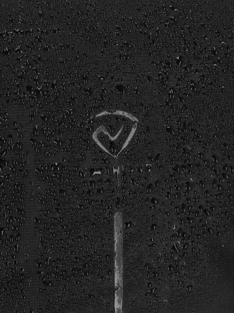 Рюкзак Northland