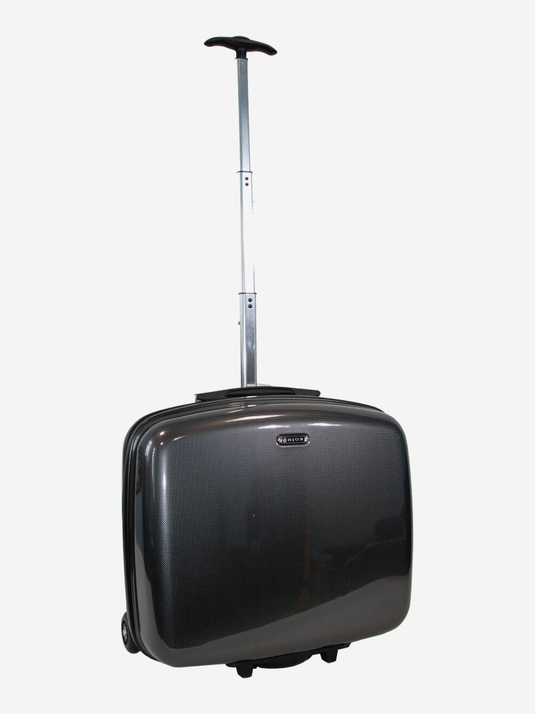 Чемодан RION+ S