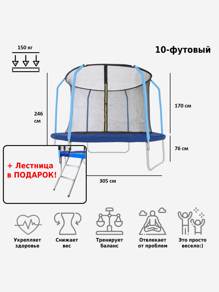 Батут 10-футовый с лестницей Green Glade B102-B003
