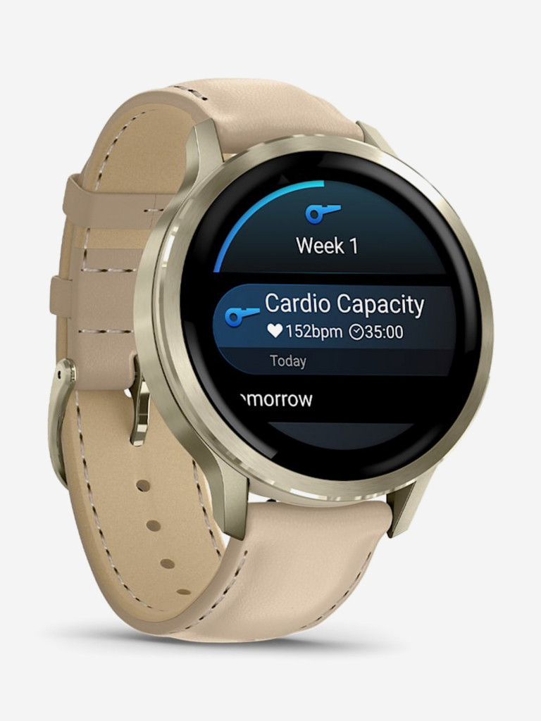 Смарт-часы GARMIN Venu 4, 41mm (010-03013-03)