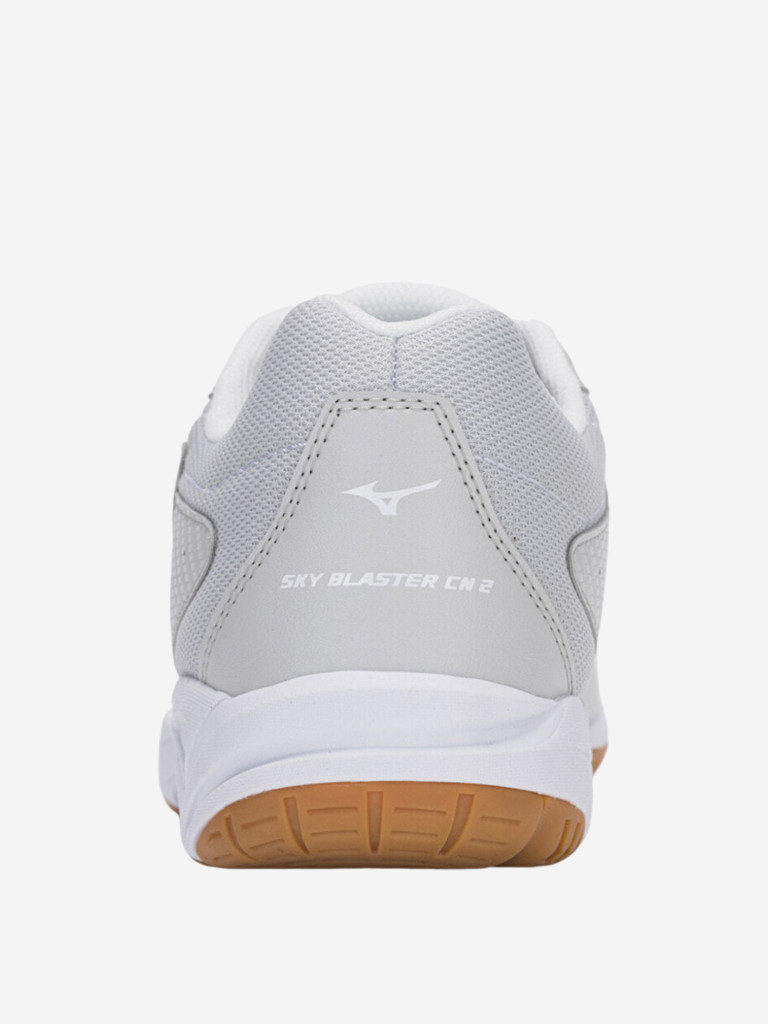 Кроссовки мужские Mizuno Sky Blaster