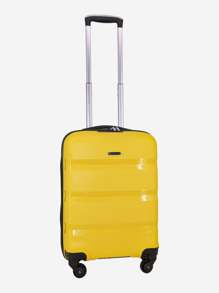 Чемодан RION+ S