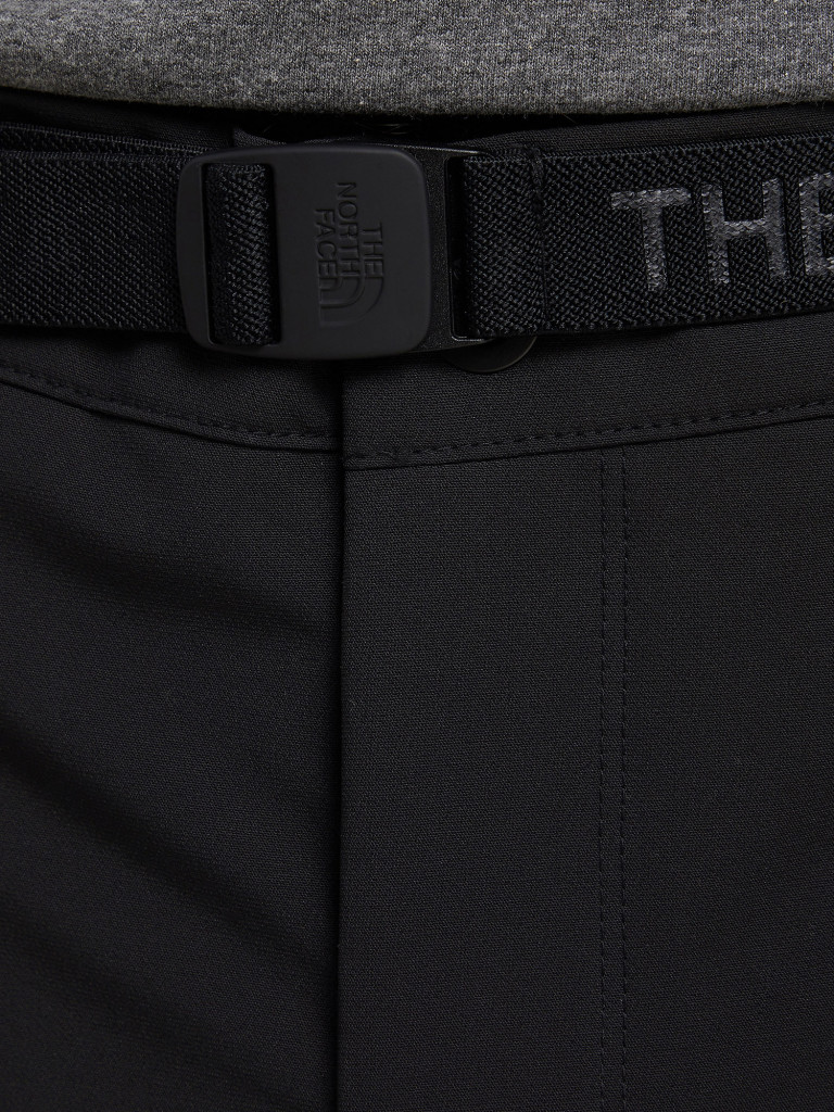 Брюки мужские The North Face Diablo