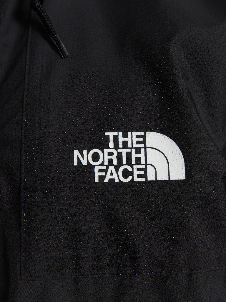 Ветровка мужская The North Face Seasonal Mountain