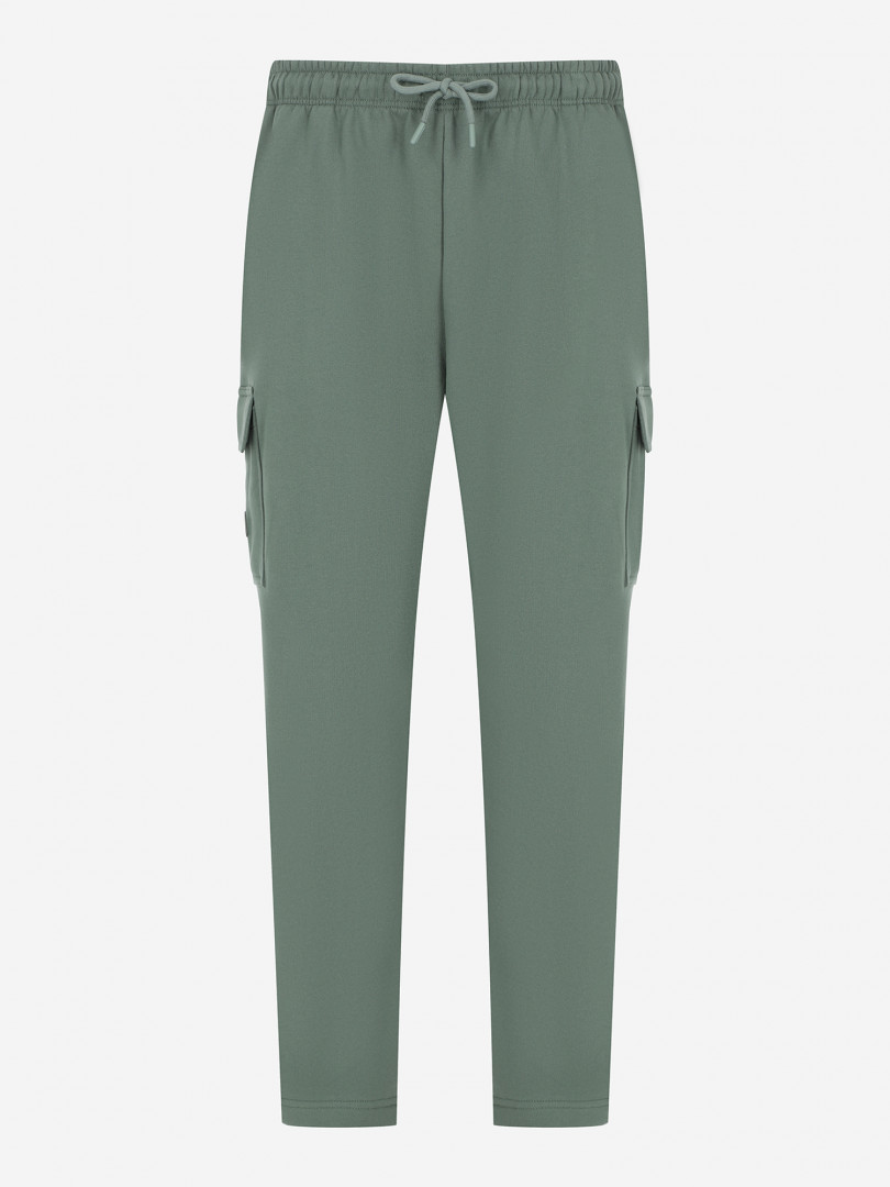 Брюки мужские The North Face Cargo Jogger Зеленый 11899₽