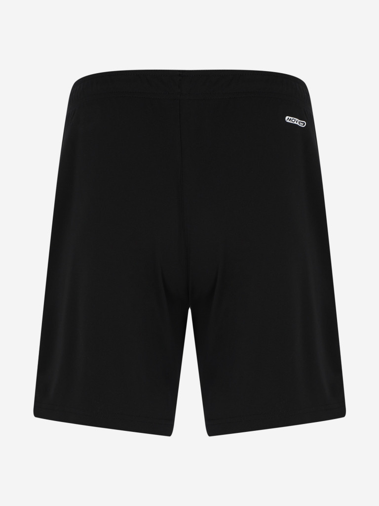 Шорты мужские Demix Legacy