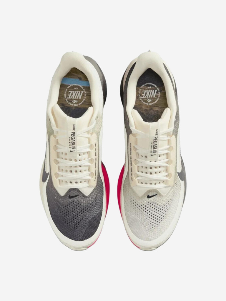 Кроссовки Nike Pegasus Premium