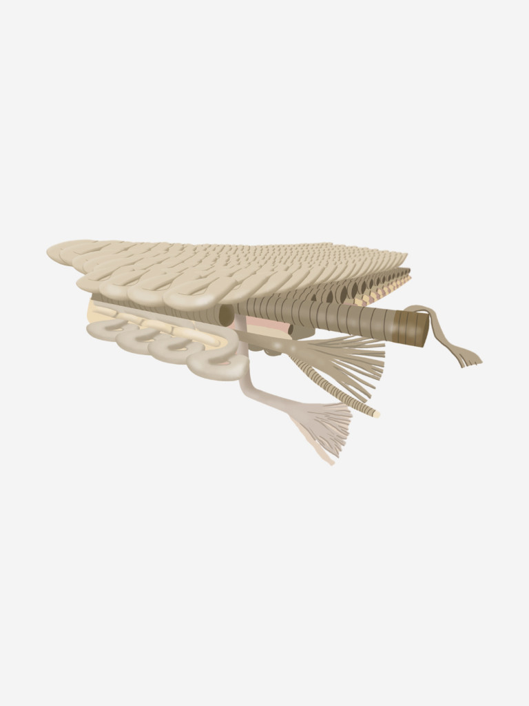 Бандаж коленный c закрытой коленной чашечкой с силиконовой подушечкой и пружинными ребрами жесткости