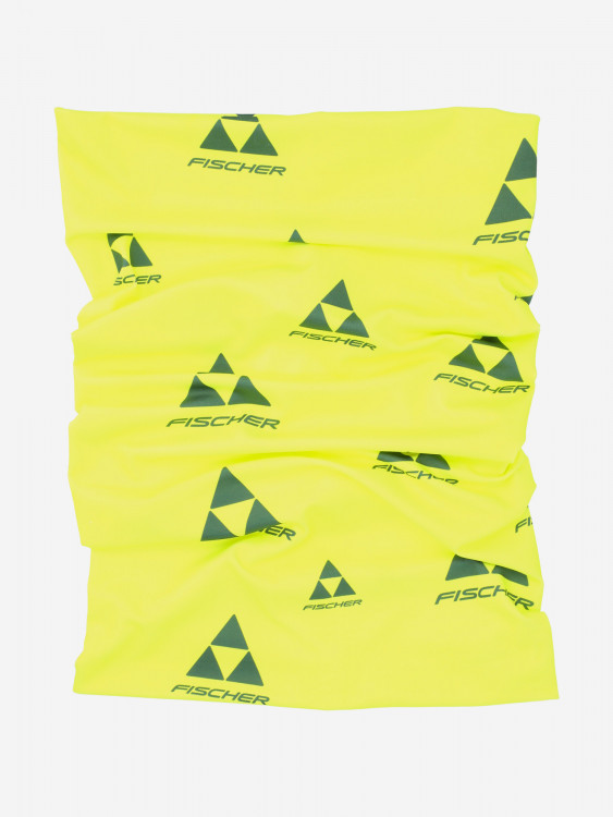 Гейтор Fischer Logo