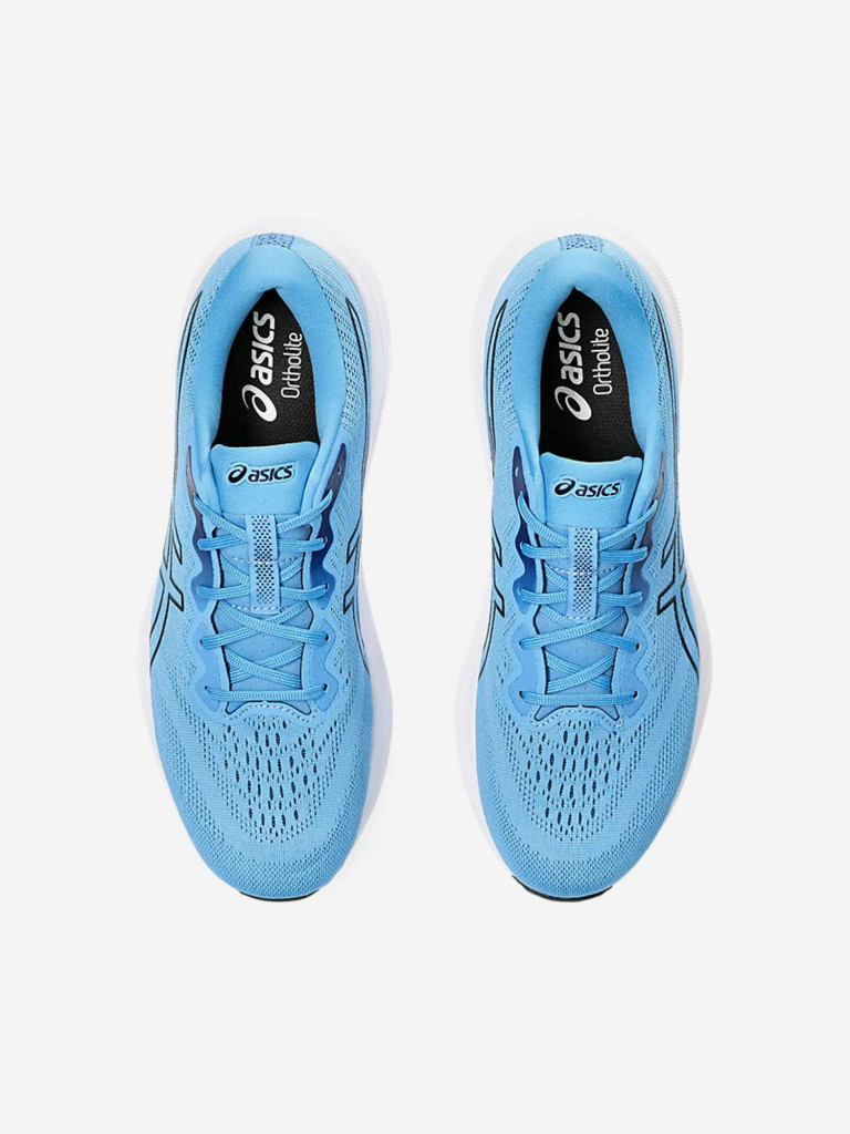 Кроссовки мужские Asics Gel-Pulse 15